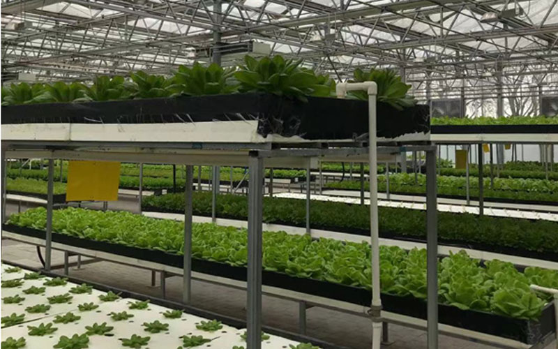 UG环球·(中国区)官方网站